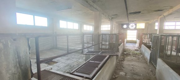 30غرفة منزل في Isola d'Asti, Italy رقم 79416 15