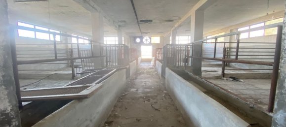 30غرفة منزل في Isola d'Asti, Italy رقم 79416 14