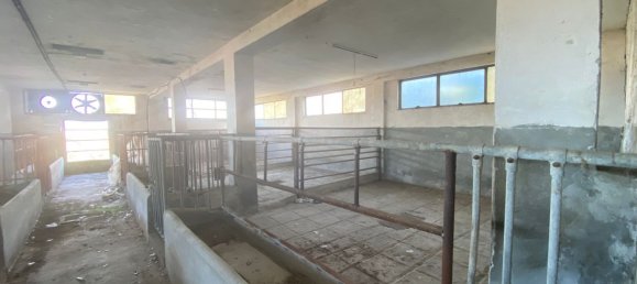 30غرفة منزل في Isola d'Asti, Italy رقم 79416 4