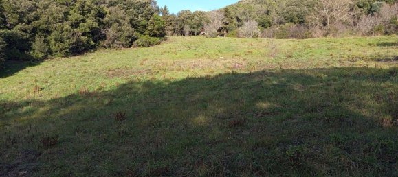 2750m² Land in Livorno, Italy No. 11129 8