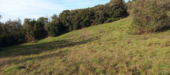 2750m² Land in Livorno, Italy No. 11129 7