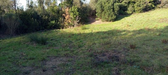2750m² Land in Livorno, Italy No. 11129 10