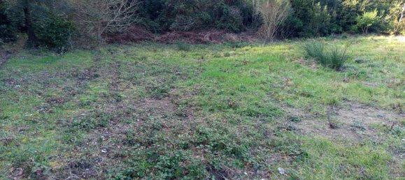 2750m² Land in Livorno, Italy No. 11129 11