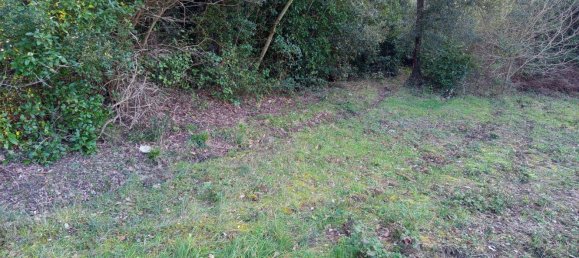 2750m² Land in Livorno, Italy No. 11129 6