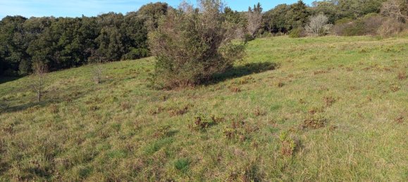 2750m² Land in Livorno, Italy No. 11129 9