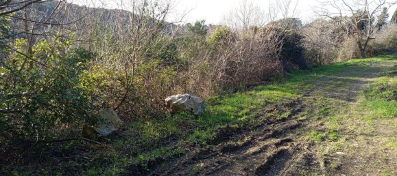 2750m² Land in Livorno, Italy No. 11129 13