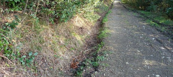 2750m² Land in Livorno, Italy No. 11129 16