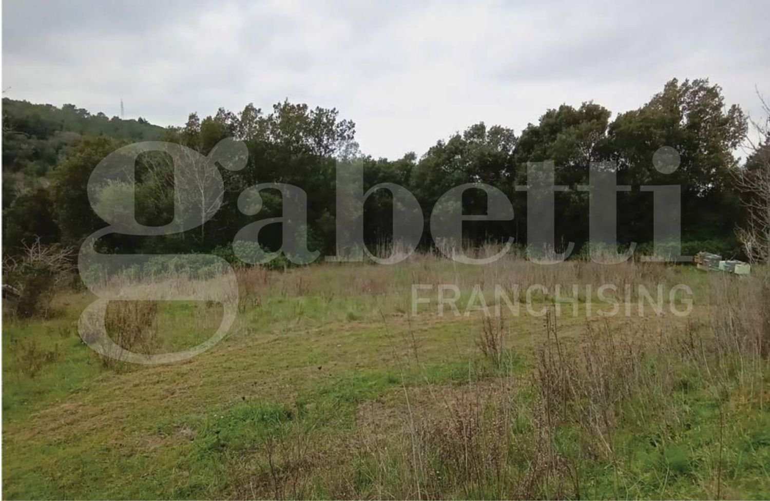 2750m² Land in Livorno, Italy No. 11129