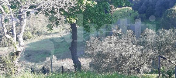 2750m² Land in Livorno, Italy No. 11129 5