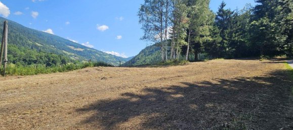  Land in Murau, Austria No. 65768 5