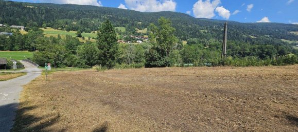  Land in Murau, Austria No. 65768 7