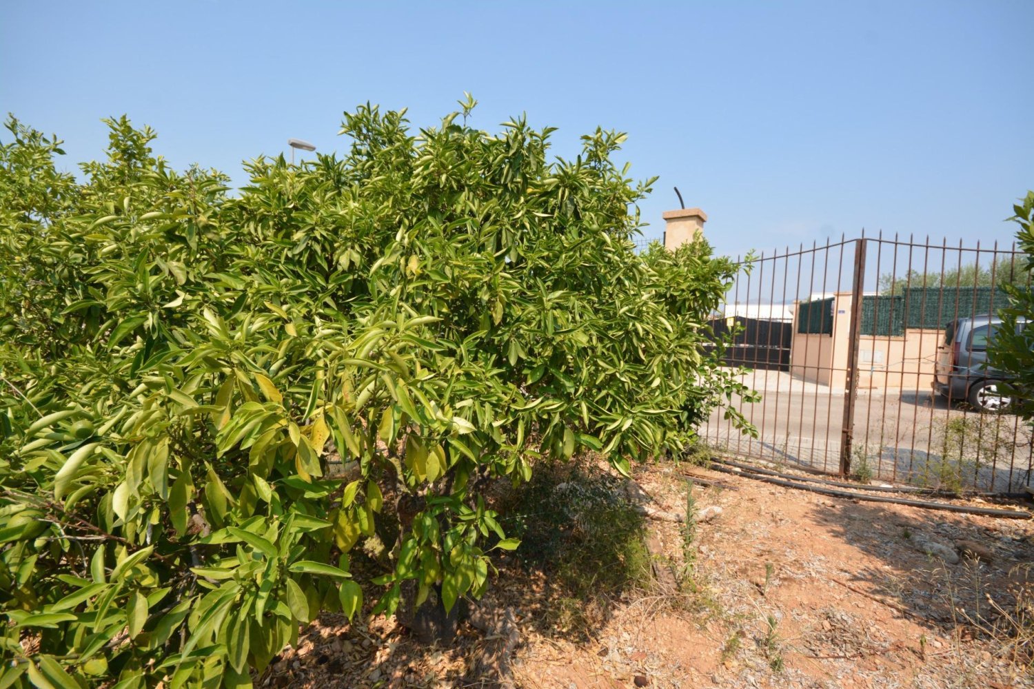 Terrain à Mallorca, Spain No. 203921