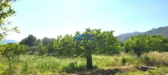 6 chambres Maison à Moratalla, Spain No. 152563 7