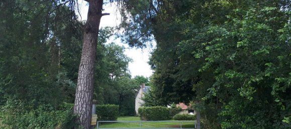 8 bedrooms House in Sainte-Maure-de-Touraine, France No. 232836 18