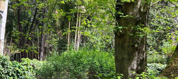 Apartamento de 6 habitaciónes en Rome, Italy No. 195529 11