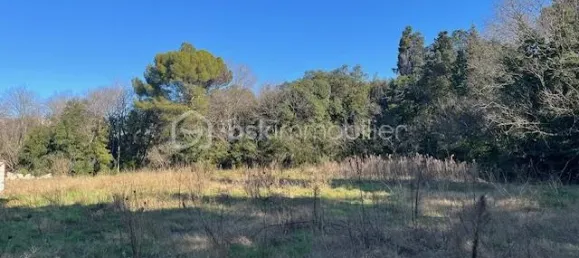 1137m² Land in Montpellier, France No. 350054 3