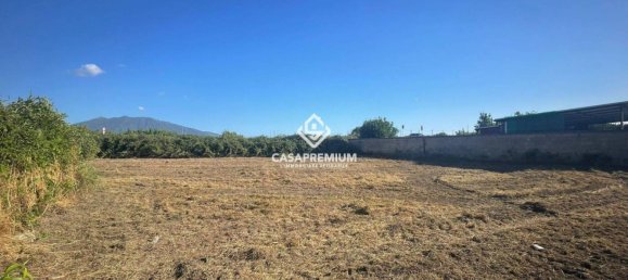 1800m² Land in Acerra, Italy No. 292705 2