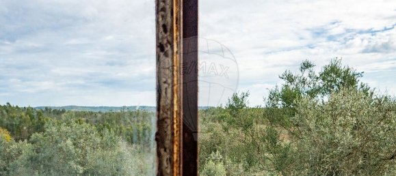 4 Schlafzimmer Haus in Belver, Portugal, Nr. 179550 11