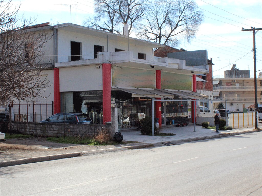 Недвижимость 530м² в Дион, Дион-Олимбос, Пиерия, Центральная Македония, Македония и Фракия, Греция № 5152