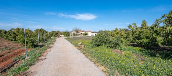 12 غرف نوم منزل في Alhaurin el Grande, Spain رقم 148744 39