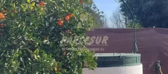 3 غرف نوم منزل في Cordoba, Spain رقم 142931 12