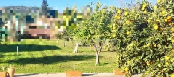 3 غرف نوم منزل في Cordoba, Spain رقم 142931 11