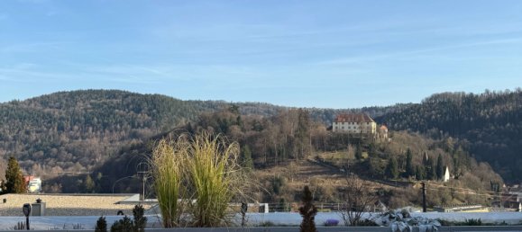 3 bedrooms Apartment in Enzkreis, Germany No. 113429 25