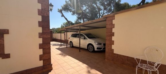 7 chambres Villa à Torrevieja, Spain No. 184796 22