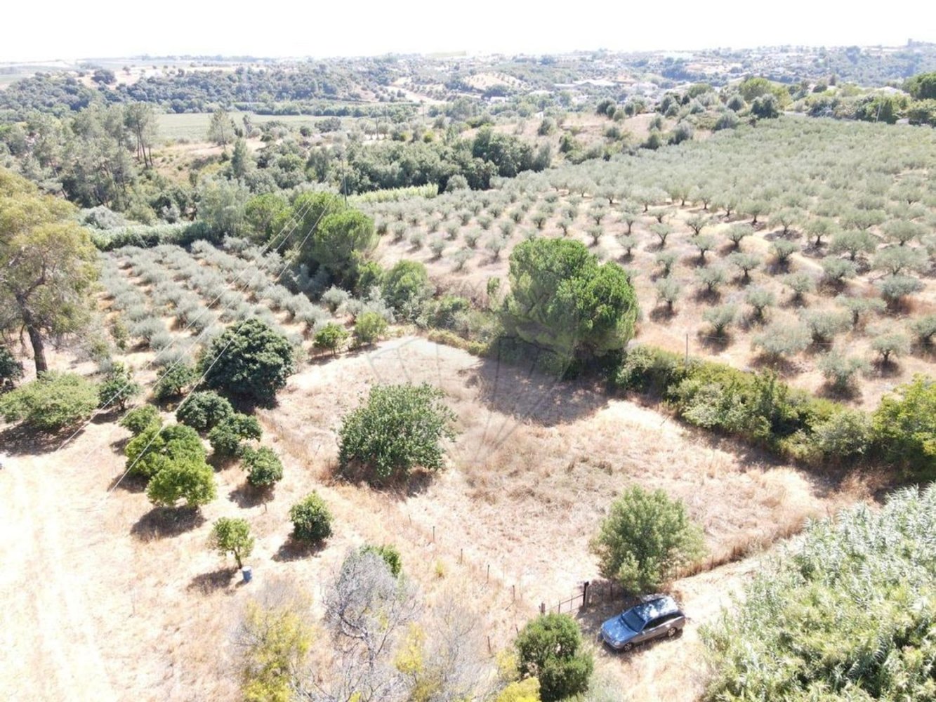  Land in Santarem, Portugal No. 314550