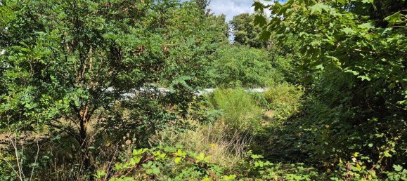 Terrain à Saarbrucken, Germany No. 274289 6