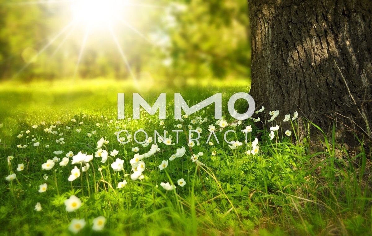  Land in Markt Neuhodis, Austria No. 219420