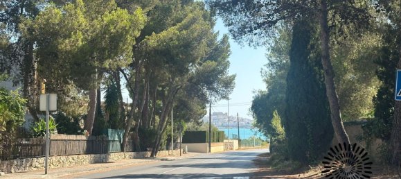 Квартира с 2 спальнями в Кастельон, Испания № 149269 5