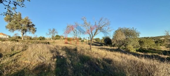 9770m² Land in Loule, Portugal No. 120273 4