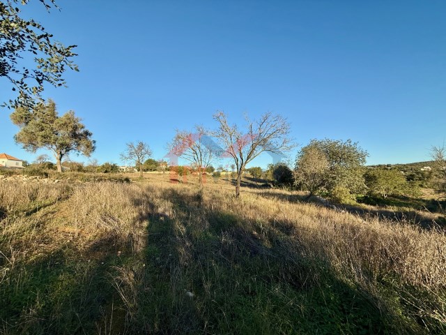 9770m² Land in Loule, Portugal No. 120273