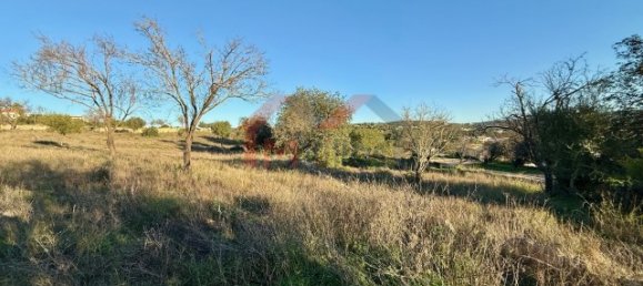 9770m² Land in Loule, Portugal No. 120273 5