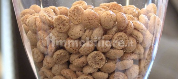 3 bedrooms Apartment in Chivasso, Italy No. 375450 9