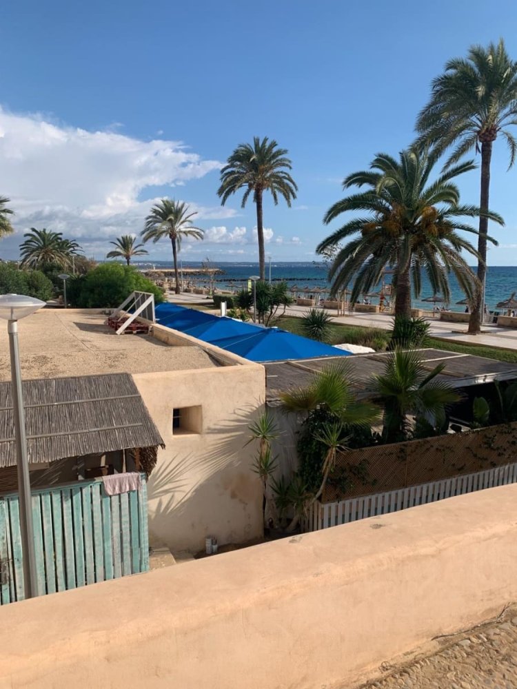  عقار تجاري في Palma de Majorca, Spain 165متر مربع رقم 185917