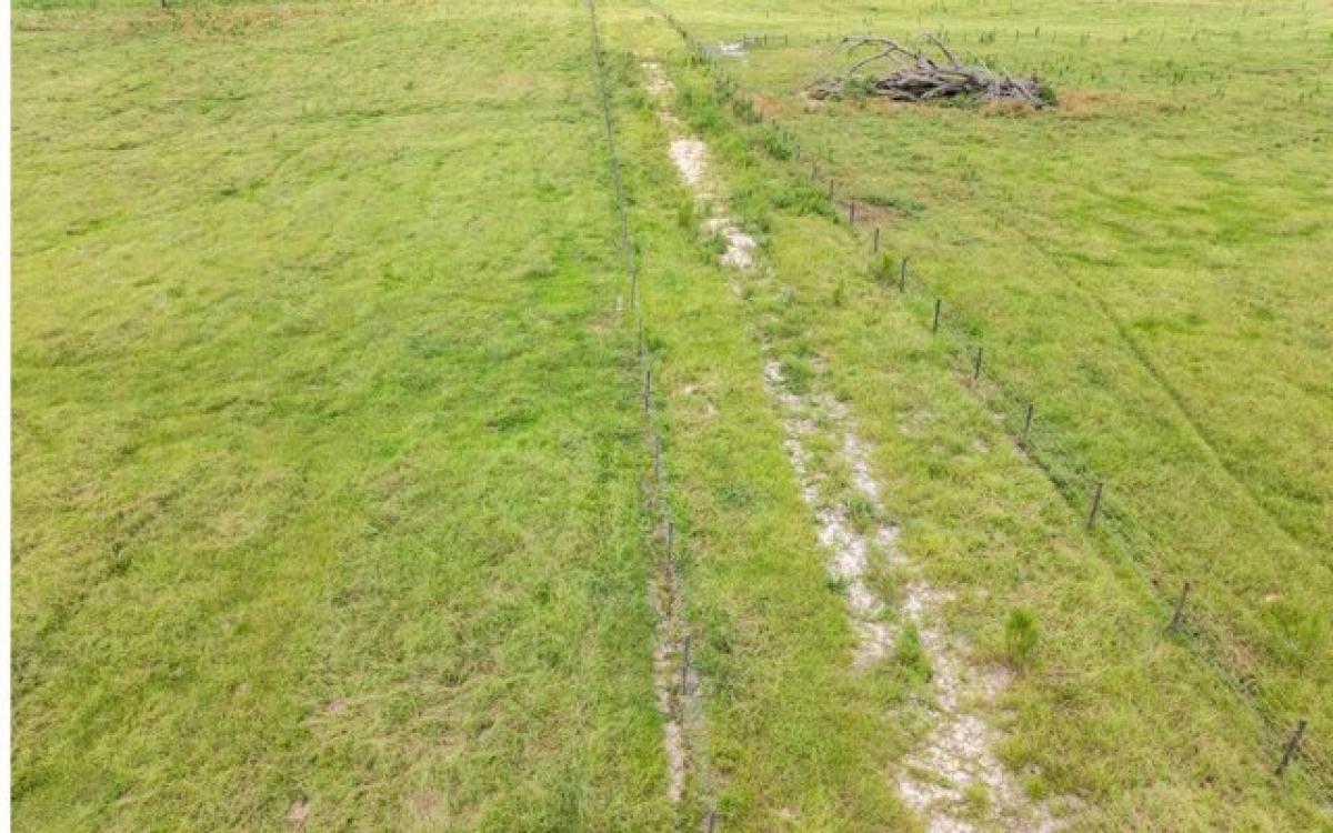  Land in Live Oak, USA No. 509679