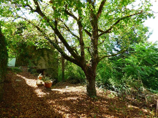2 Schlafzimmer Haus in Tarn-et-Garonne, France, Nr. 362544