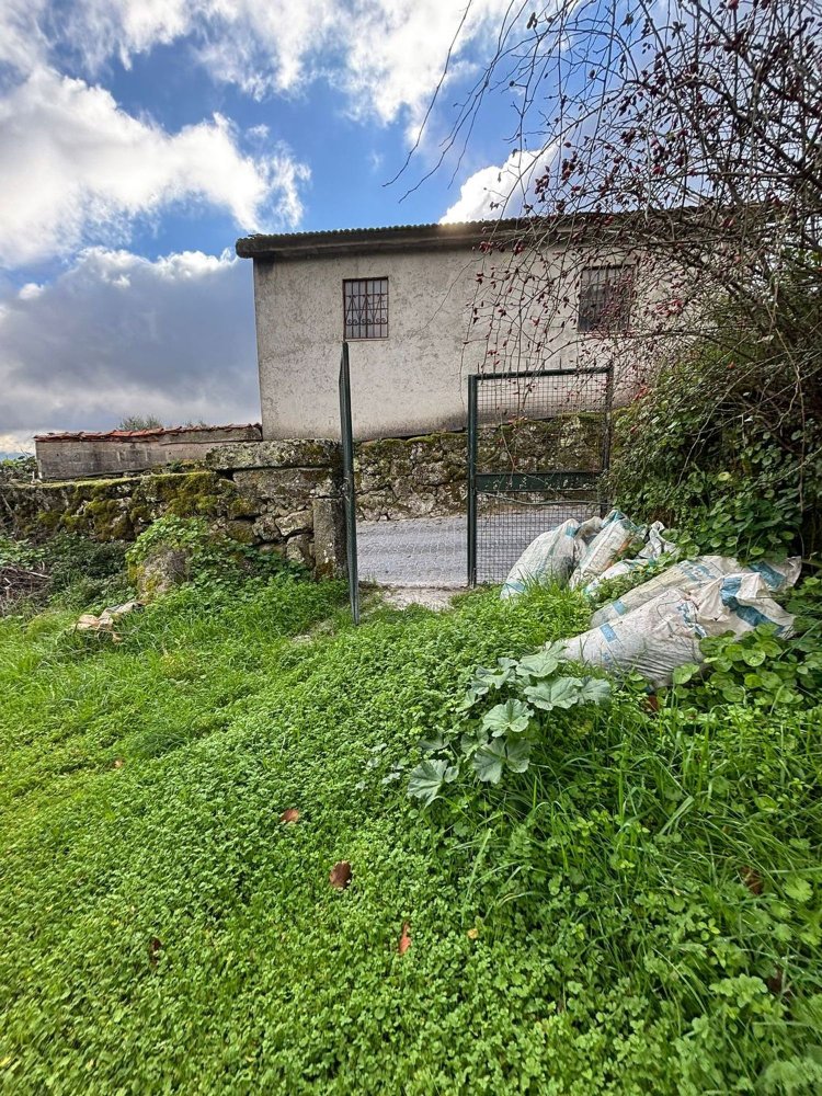 Terrain à Algodres, Portugal No. 195167