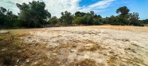 868m² Commercial property in Algaida, Spain No. 155351 14