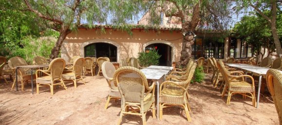 868m² Commercial property in Algaida, Spain No. 155351 4