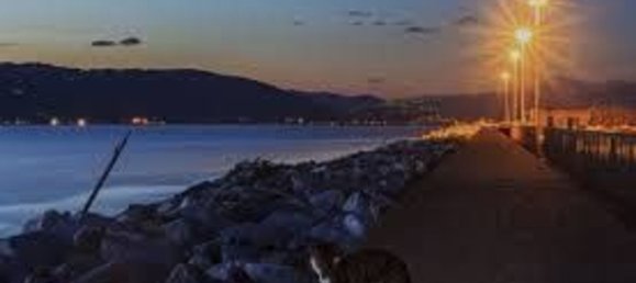 4 rooms Apartment in Carrara, Italy No. 27386 27