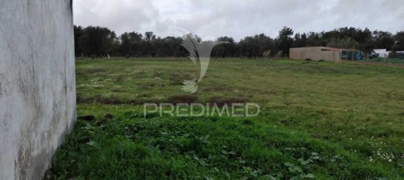 1 bedroom House in Santiago do Cacem, Portugal No. 77003 6