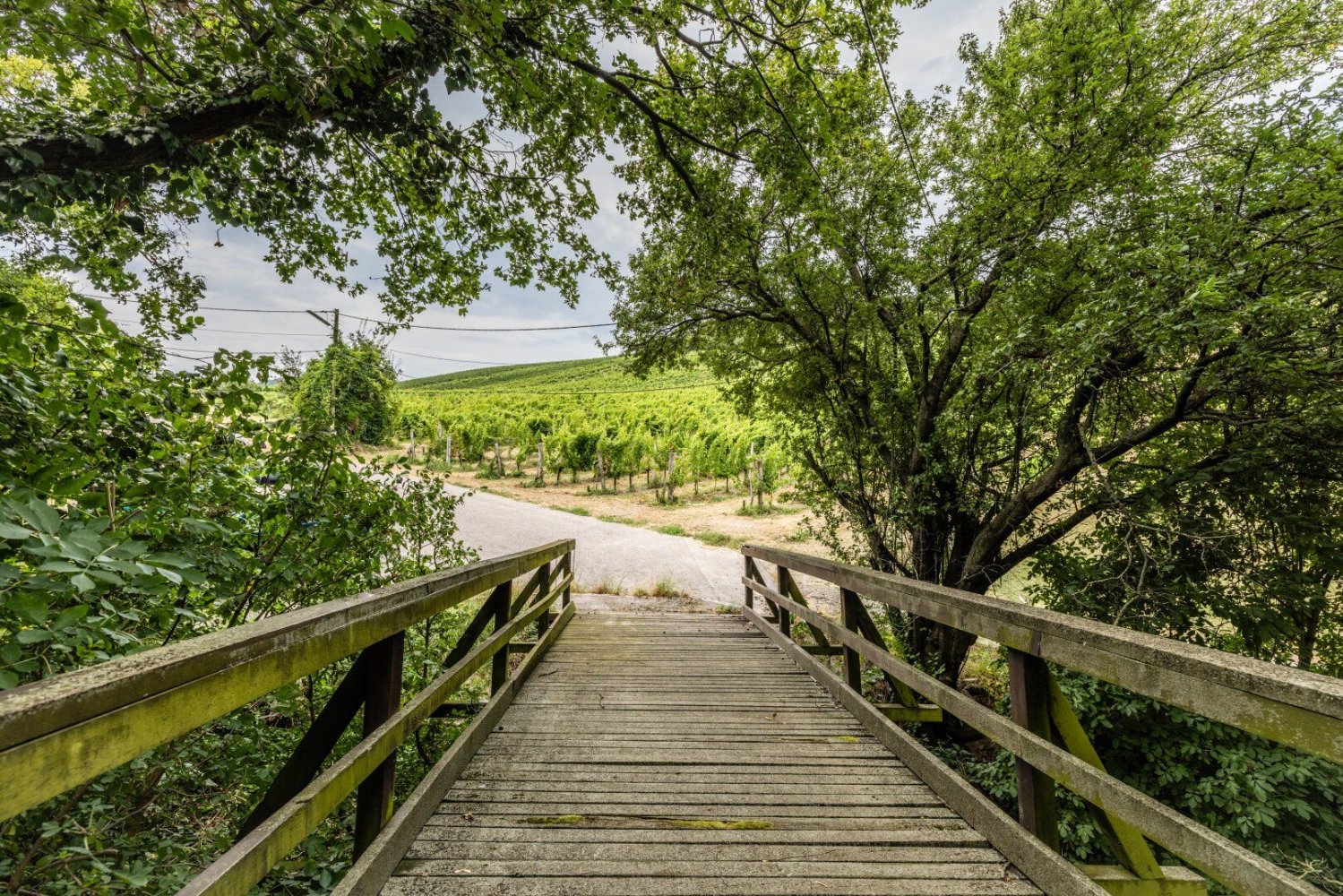 Terreno en Dobling, Austria No. 132267