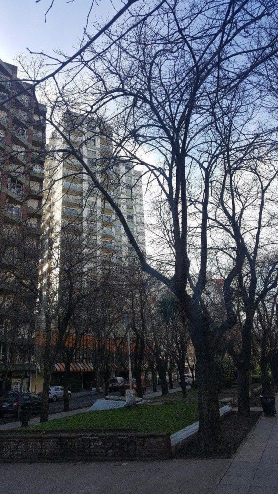 Studio à Mar del Plata, Argentina No. 101128