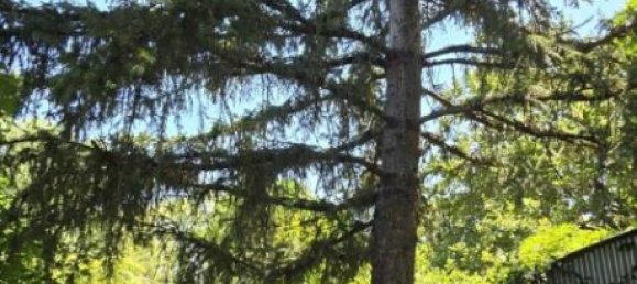 2 Schlafzimmer Wohnung in Empoli, Italy, Nr. 274540 47