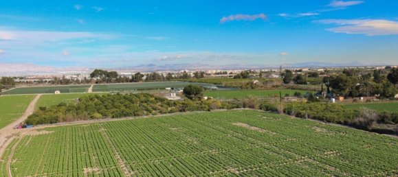 1 Schlafzimmer Wohnung in Algorfa, Spain, Nr. 177433 15