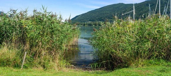 Apartamento de 3 habitaciónes en Steindorf am Ossiacher See, Austria No. 235564 17