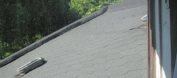 4غرفة منزل في Greiz, Germany رقم 286454 23